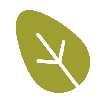 Bifurcation écologique